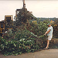 man pulling greenery toward mulcher