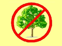 No trees or brush on dam embankments.