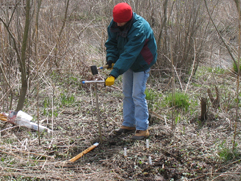 Wye Island Mitigation 2007