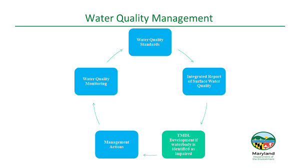 Graphic of Water Quality Restoration Process