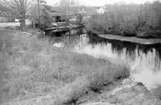 black & white photo of creek showing the vegitation