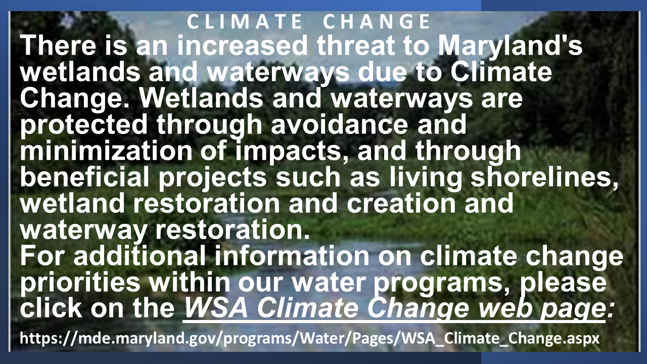Visit the WSA Climate Change website
